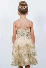 Load image into Gallery viewer, Cinderella Couture-5132
