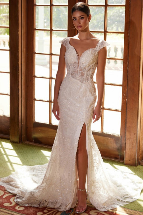 Babyfox C1600w-01-22